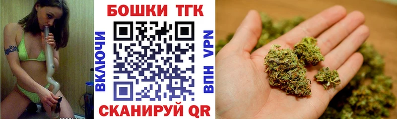 Шишки марихуана сатива  MEGA ТОР  Судогда 
